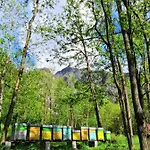 Bauernhof Val Codera Verceia