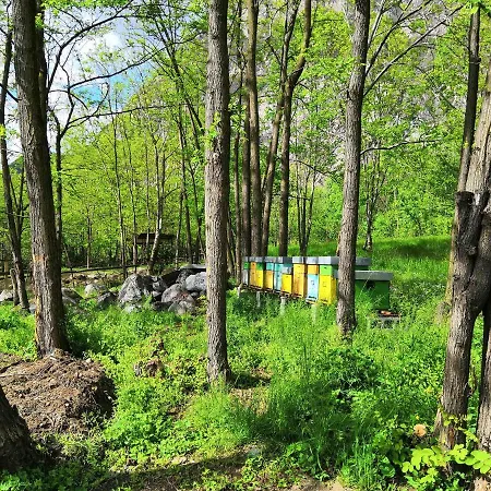 Val Codera ファームステイ