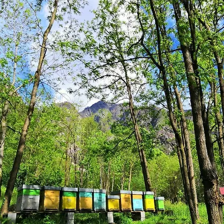 Farm stay Val Codera Verceia