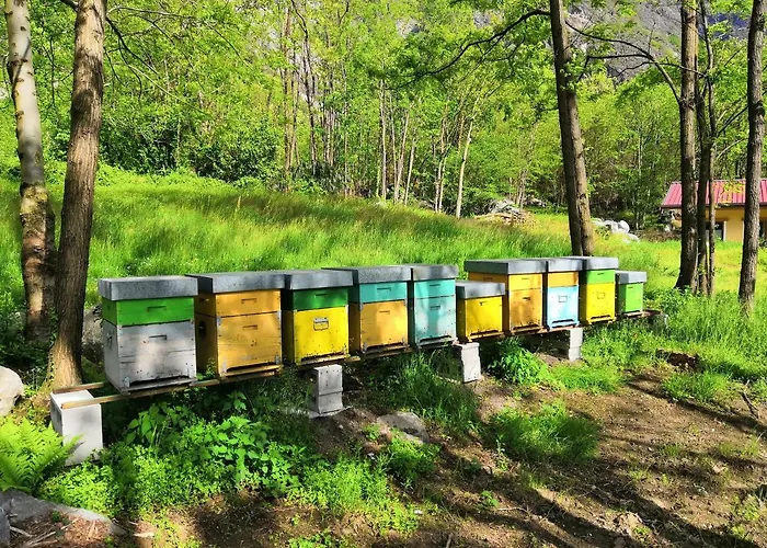 Val Codera Farma Verceia
