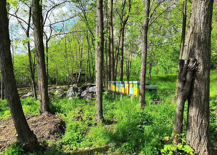 Val Codera Bauernhof