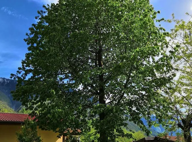 Val Codera * Verceia