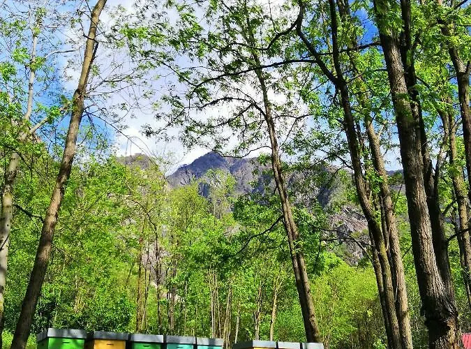 Çiftlik konaklama Val Codera Verceia